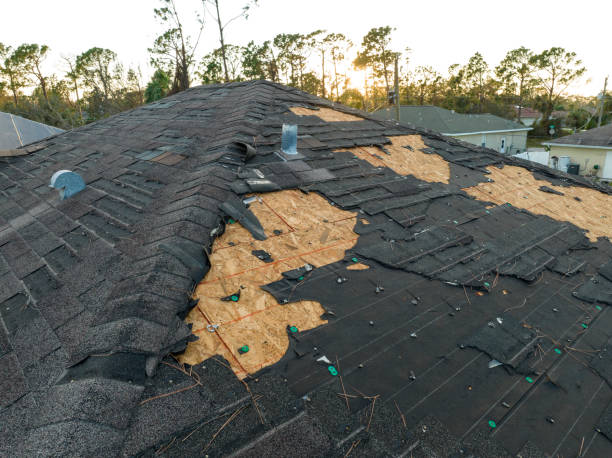 Roof Coating Services in Kemp, TX